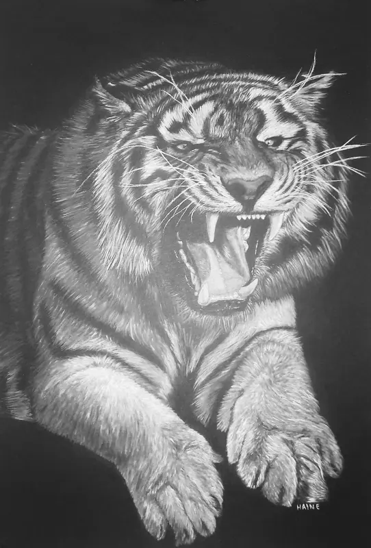 Gros chat