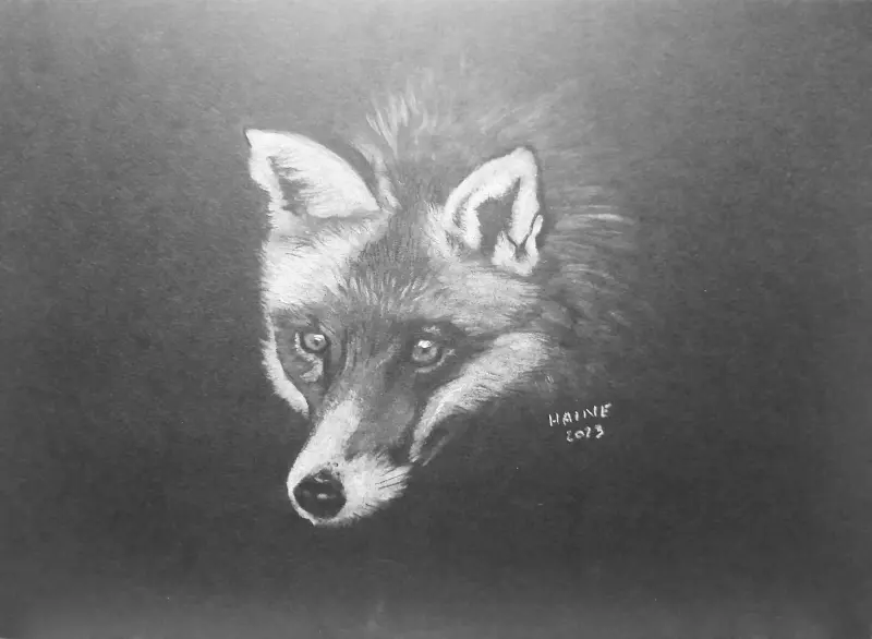 Renard